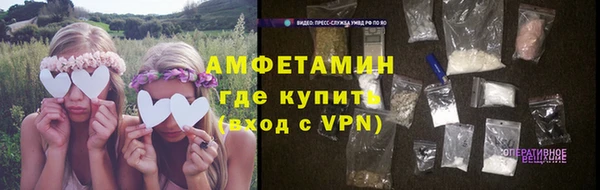 гашик Пересвет