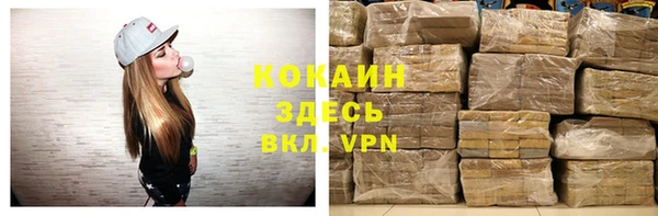 гашик Пересвет