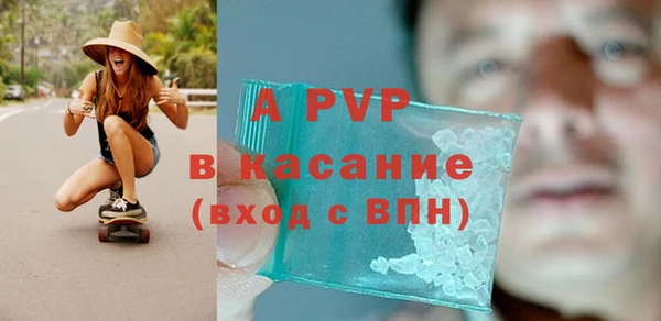 гашик Пересвет