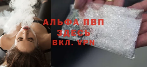 гашик Пересвет