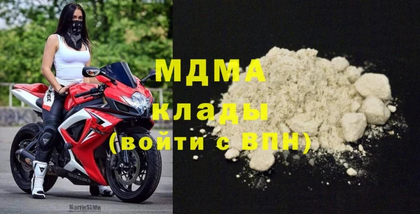 гашик Пересвет