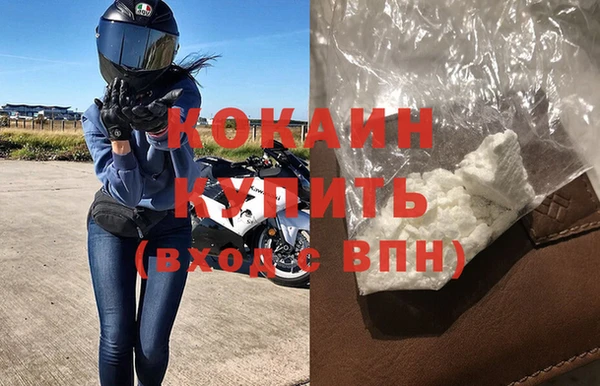 гашик Пересвет